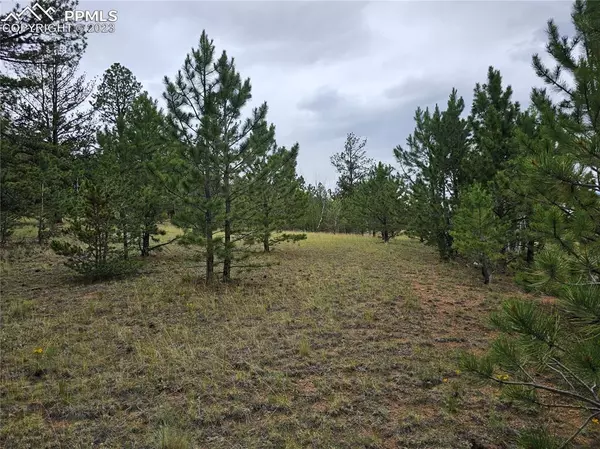 Hartsel, CO 80449,Huerfano DR