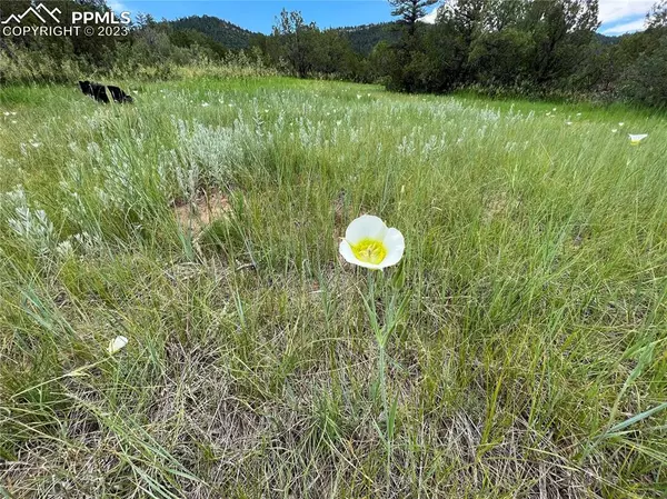 Beulah, CO 81023,Pine DR