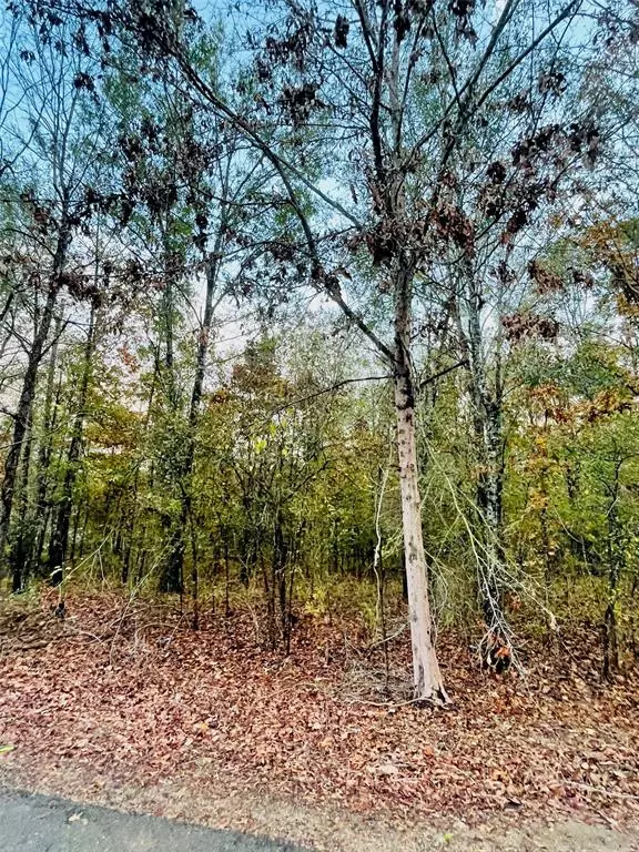 Stonewall, LA 71078,0 Richardson Road #Lot 41