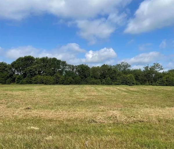 TBD Lot 6 VZ County Road 3416, Wills Point, TX 75169