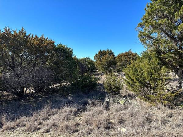 Lot 80 Medinah Lane, Graford, TX 76449