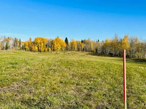 Rural Clearwater County, AB T4T 1B2,75043 37-4 Township Road