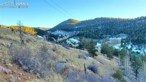 Cripple Creek, CO 80813,161 Last Dollar DR