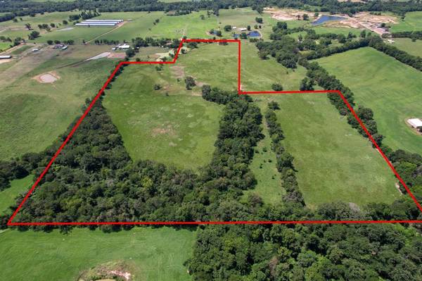 44.57 Acres CR 3070, Mount Vernon, TX 75457