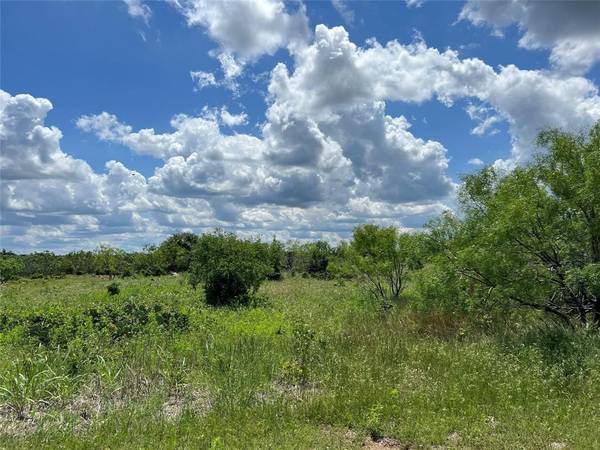 Lot 48 Torrey Pines Drive, Graford, TX 76449