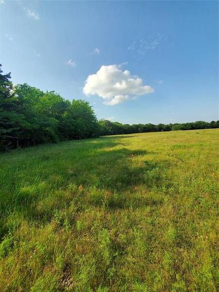 TBD County Road 2855, Honey Grove, TX 75446