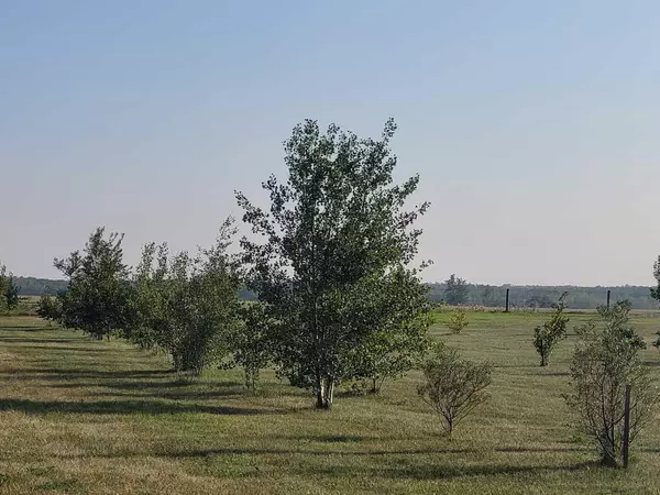 Rural Stettler No. 6 County Of, AB T0C2L0,38178 20-1 Range