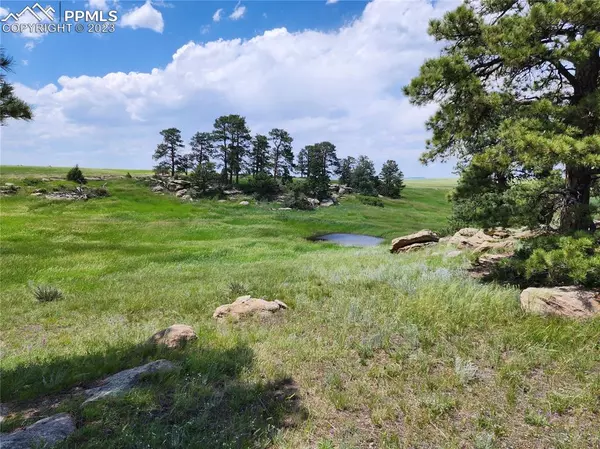 Elbert, CO 80106,COUNTY ROAD 94