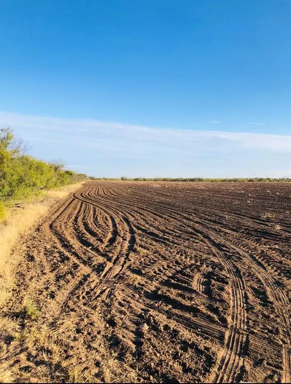 Lueders, TX 79533,TBD County Road 163