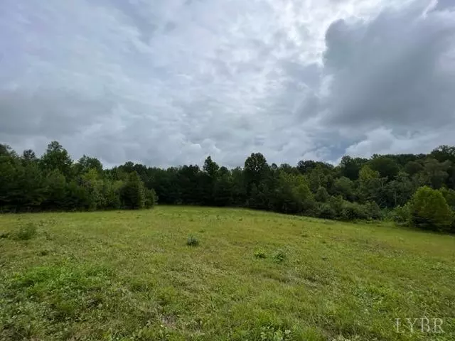 Appomattox, VA 24522,0 Piney Mountain Rd