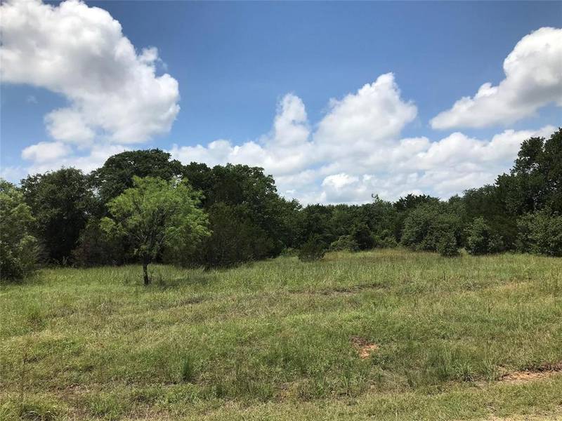 Lot 17 N Lakeview Drive, Palo Pinto, TX 76484