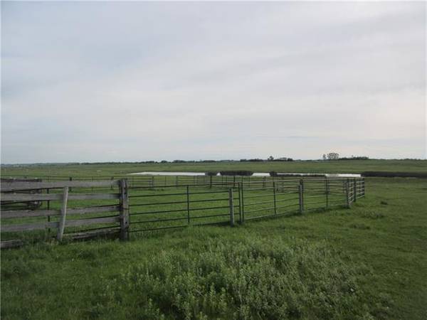 250 Range RD, Rural Wheatland County, AB T1P 0X4