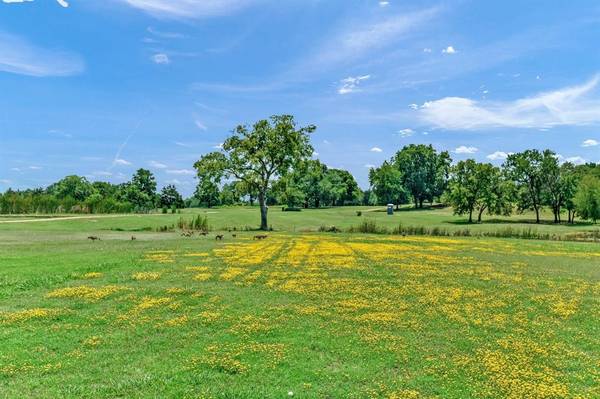 Lot 31 Palmer Lane, Pottsboro, TX 75076