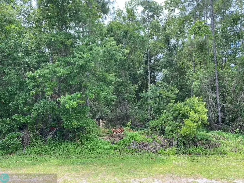 Lot 5 Allamanda Drive, Other City - In The State Of Florida, FL 33855