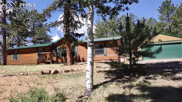 97 Shadow Lake DR, Divide, CO 80814