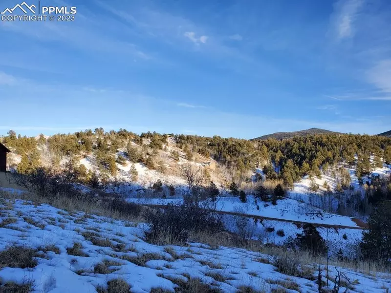 193 Last Dollar DR, Cripple Creek, CO 80813