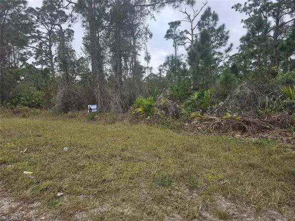 730 DA VINCI AVE S, Lee, FL 33936