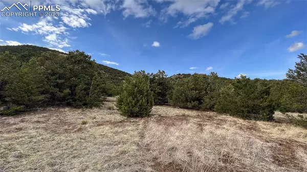 Westcliffe, CO 81252,Lot 76 Corral South RD