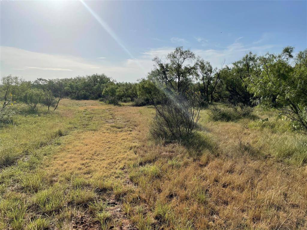 Abilene, TX 79601,Tract 3 (32 Ac) FM 600