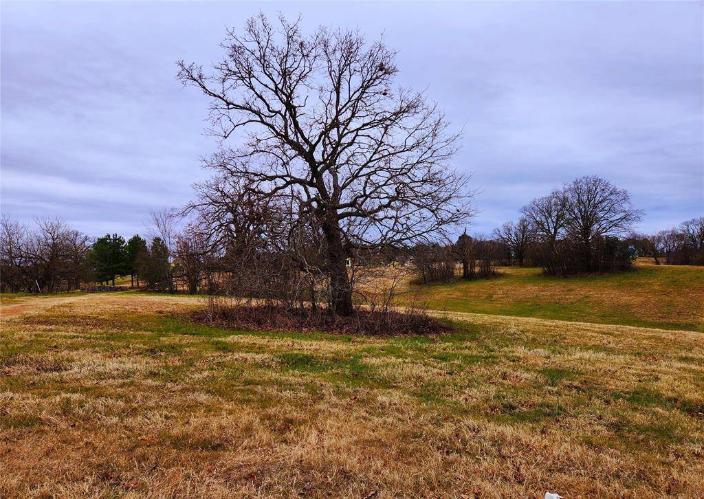 Athens, TX 75752,Lot 125 Clear View Court