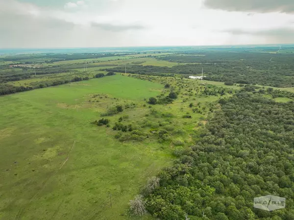 Gorman, TX 76454,63.35 AC County Road 327