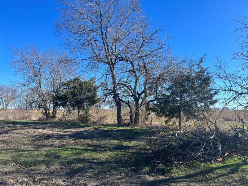 (Lot 7) 4546 Fm 118, Greenville, TX 75401