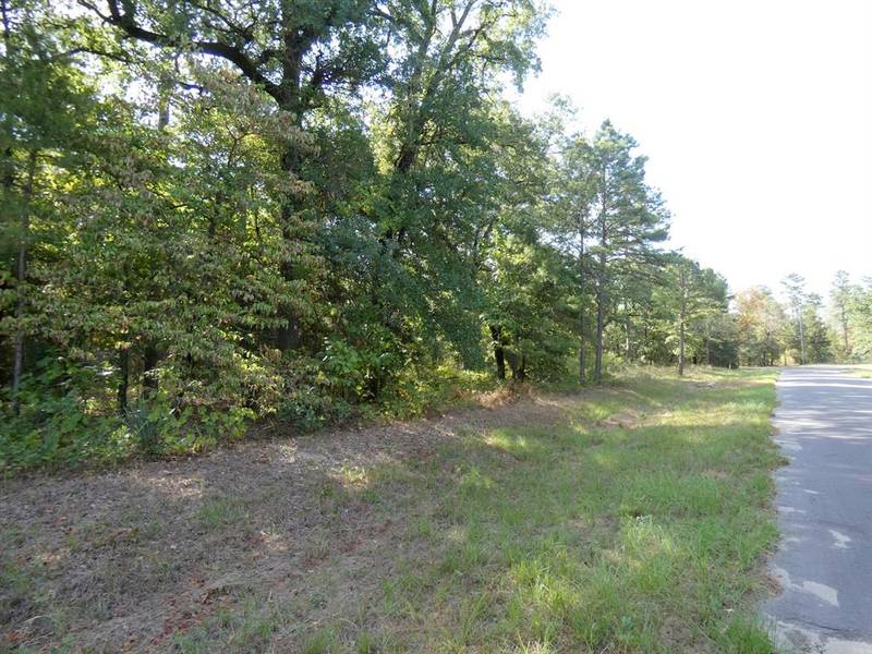 TBD County Road 4593, Winnsboro, TX 75494