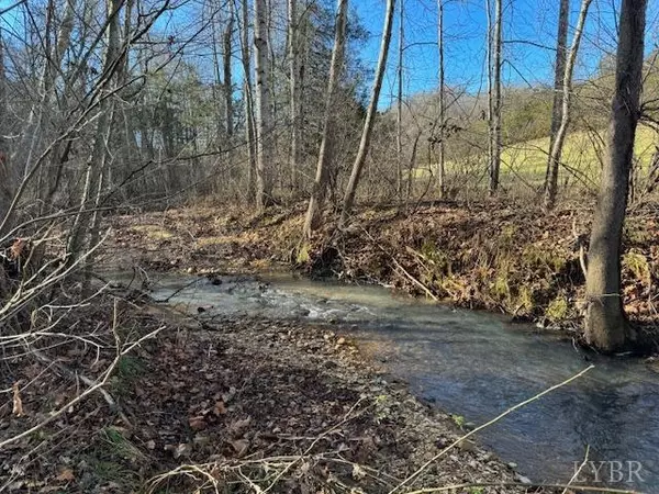 Spout Spring, VA 24593,0 Spring Grove RD #24 Acres