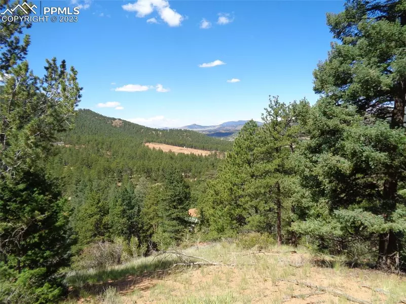 186 Alpine DR, Cripple Creek, CO 80813