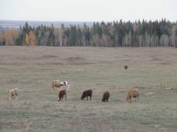 Rural Clearwater County, AB T0M0M0,360000 Range Road 4-5