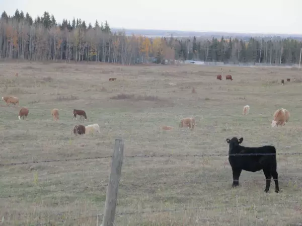 Rural Clearwater County, AB T0M0M0,360000 Range Road 4-5