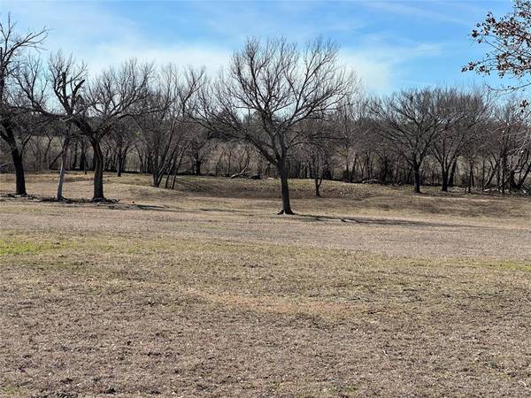 TBD FM 1689, Sidney, TX 76474