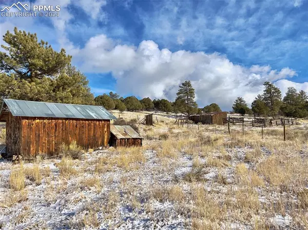 Westcliffe, CO 81252,9091 County Road 271