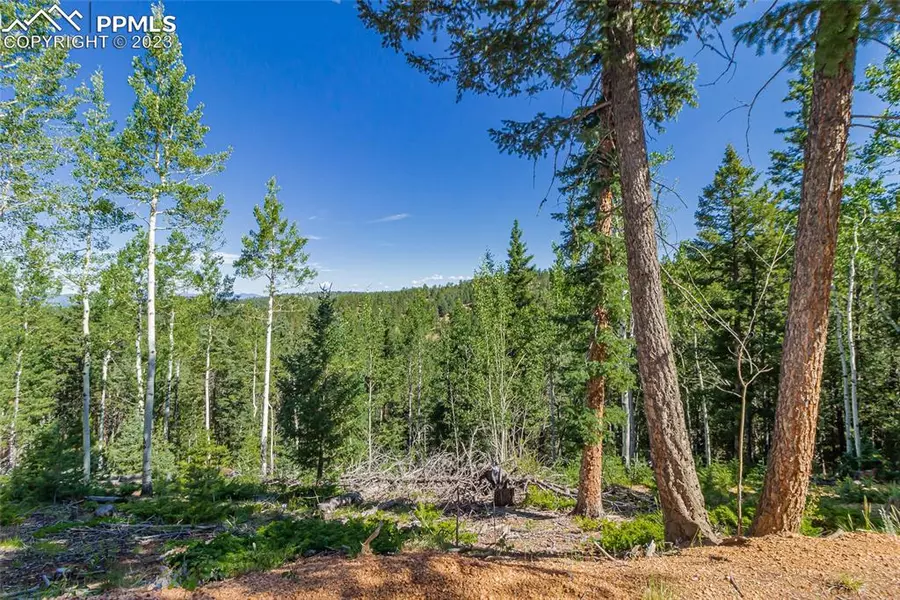 395 Paradiso RD, Divide, CO 80814