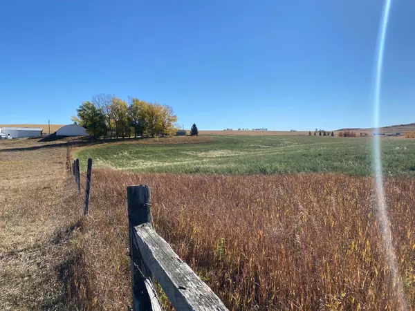 Rural Foothills County, AB T0L0X0,306105 96 ST E