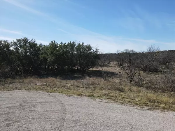 Brownwood, TX 76801,TBD Lot 490 Sandcastle Drive