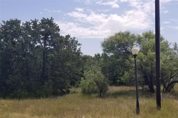 Runaway Bay, TX 76426,Lot 8 Lillys Court