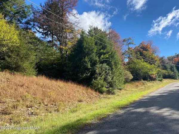 Tobyhanna Twp, PA 18334,Lot 38 Minsi Trail