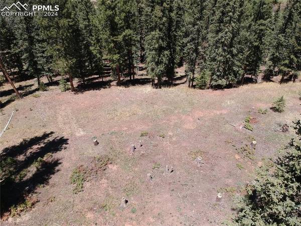 Woodland Park, CO 80863,220 Iron Eagle PT