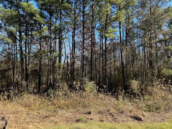 000 Pine Hill Road,  Elm Grove,  LA 71051