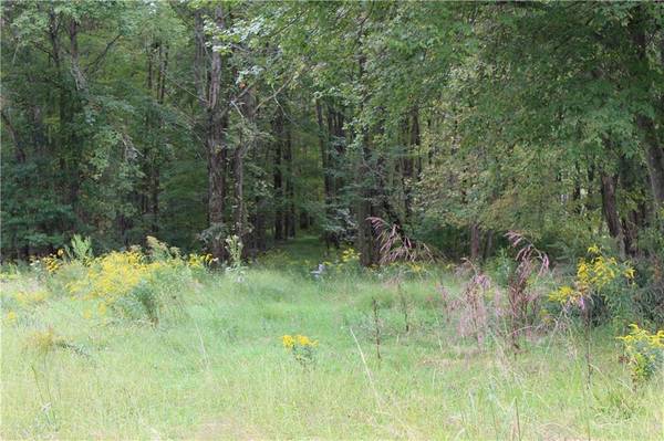 Summer Valley Road #Lot #5, West Penn Township, PA 17960