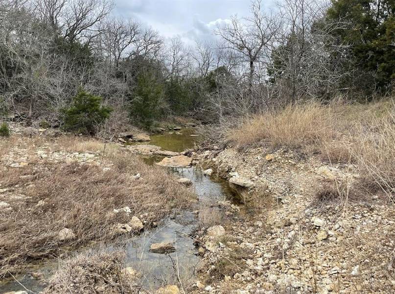 PR 191 - (Lot 87) Private Road 191, Blum, TX 76627