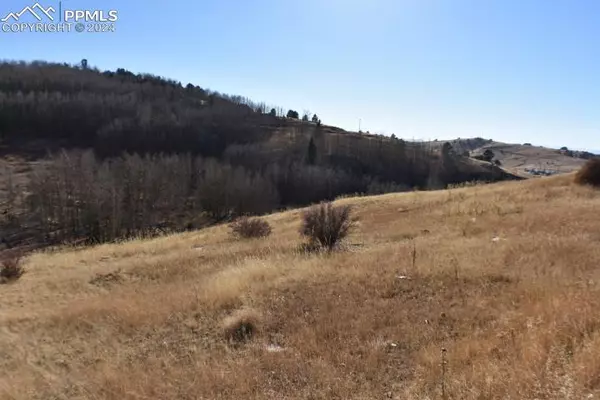 Cripple Creek, CO 80813,Myers AVE