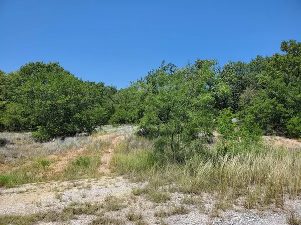 Bowie, TX 76230,Lot 362 Sunset Lane