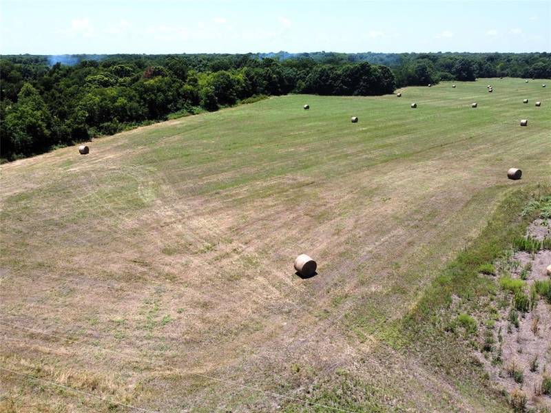 17 ac FM 1566, Wolfe City, TX 75496