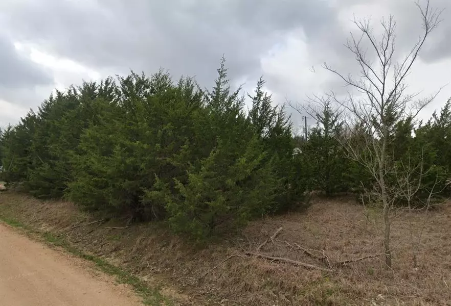 TBD Lot 304 Green Briar Drive, Gordonville, TX 76245