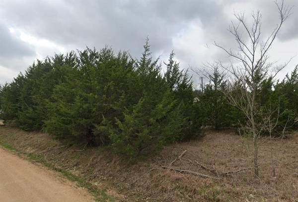 TBD Lot 304 Green Briar Drive, Gordonville, TX 76245