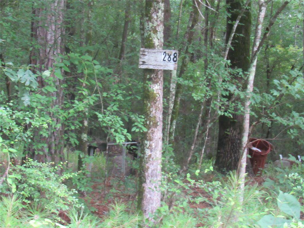 288 Pelican Street, Ringgold, LA 71068