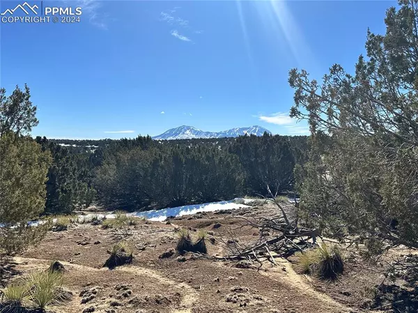 Walsenburg, CO 81089,Lot 606 Pico Del Questa