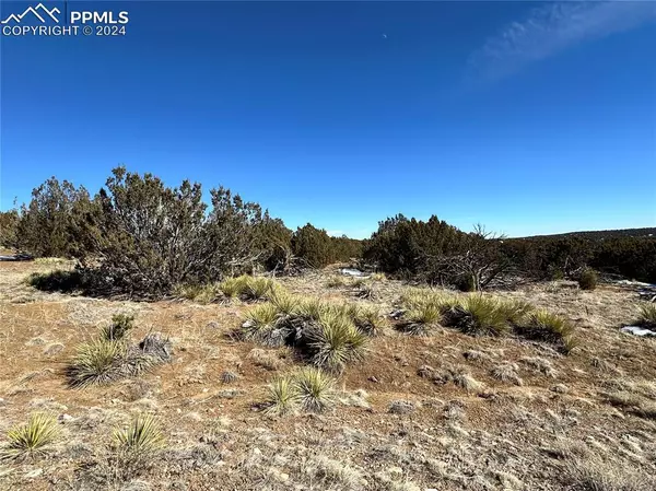 Walsenburg, CO 81089,Lot 606 Pico Del Questa